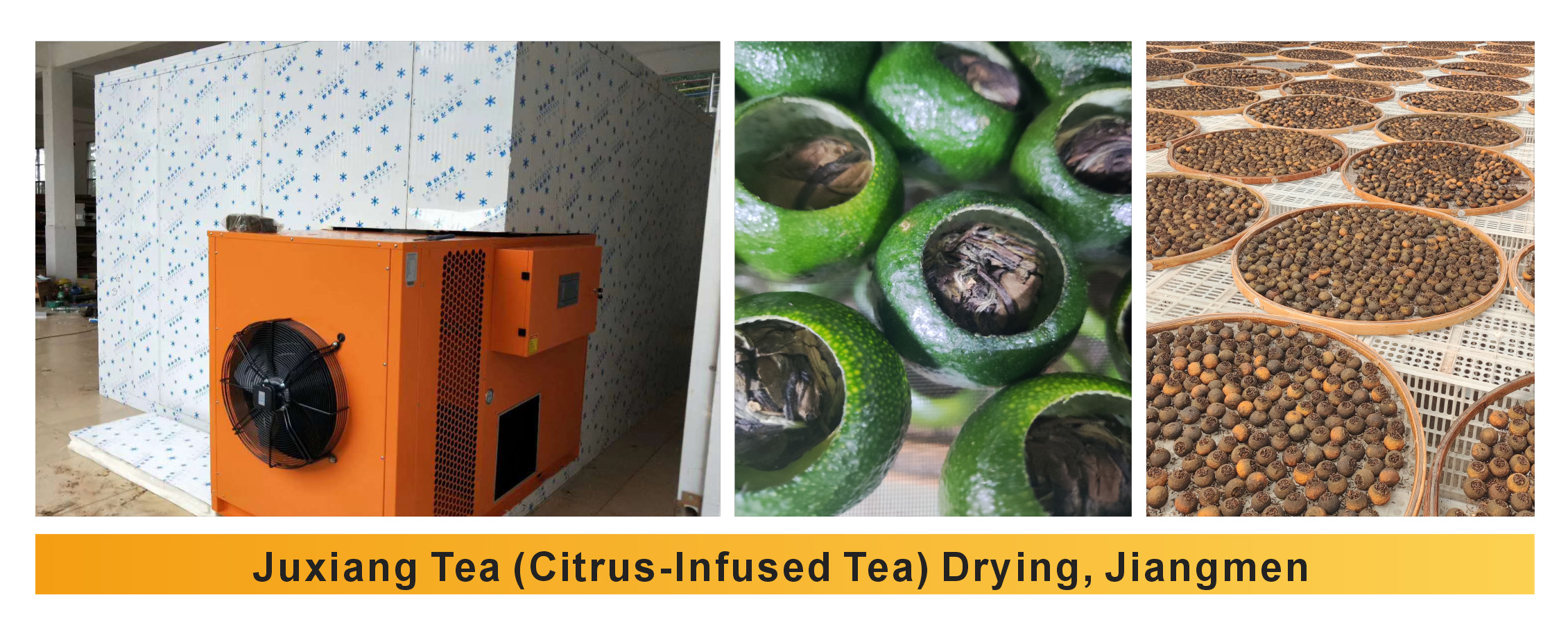 Tea Leaves