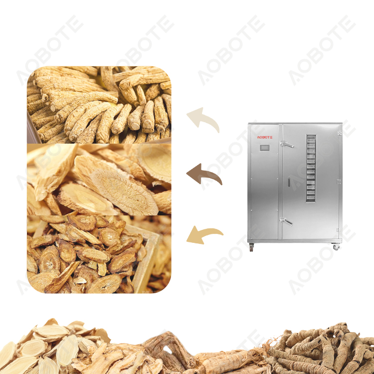 American Ginseng