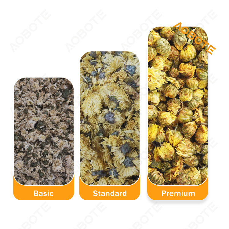 Herbs & Medicinal Plants