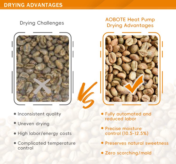 Coffee cherry to green bean drying process with AOBOTE heat pump dryer